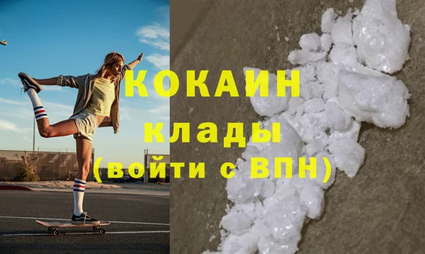 спиды Гусев