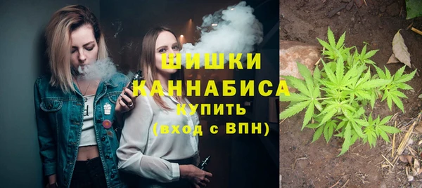 дурь Мегион