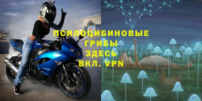 Галлюциногенные грибы MAGIC MUSHROOMS  Гусиноозёрск 